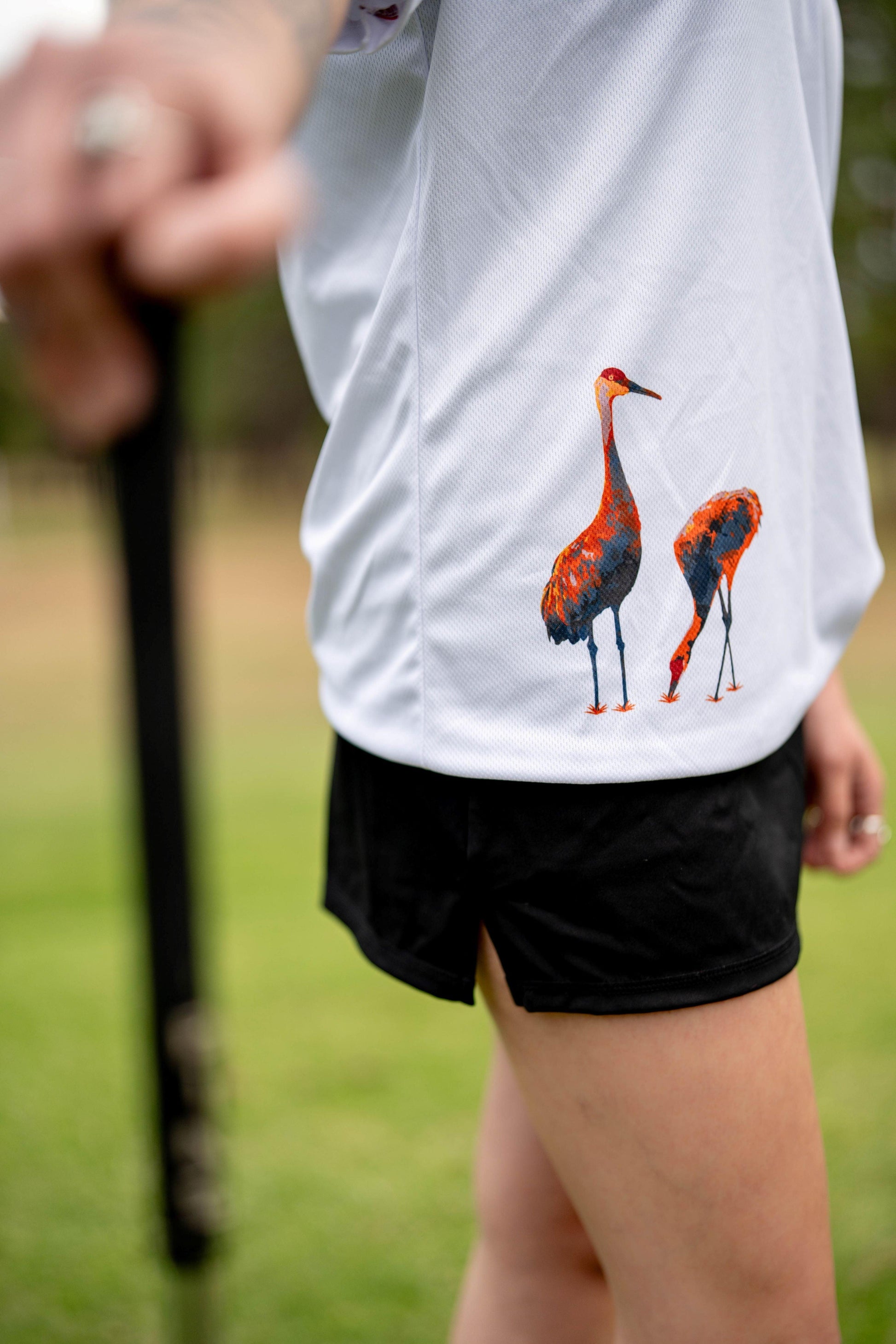 Sandhill Cranes - Flying Iron Golf